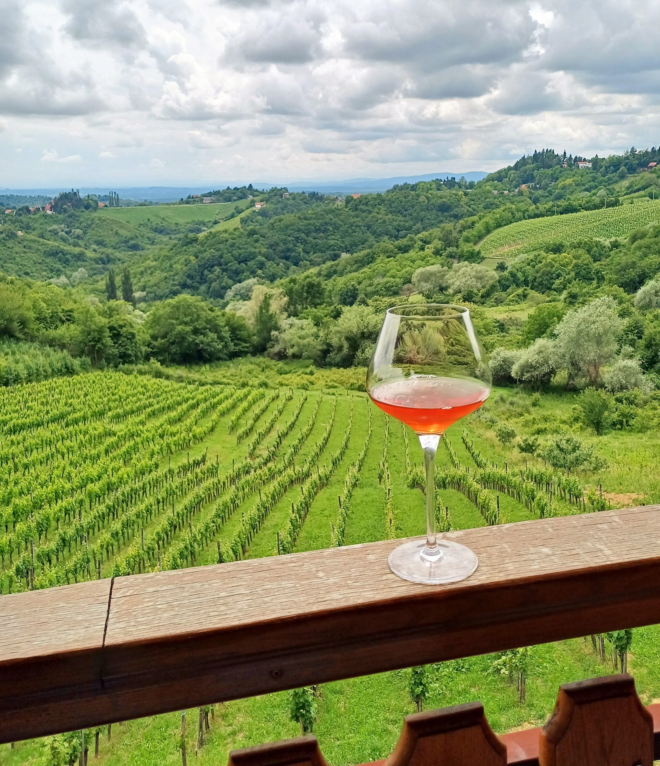 amber wine plesivica (2)