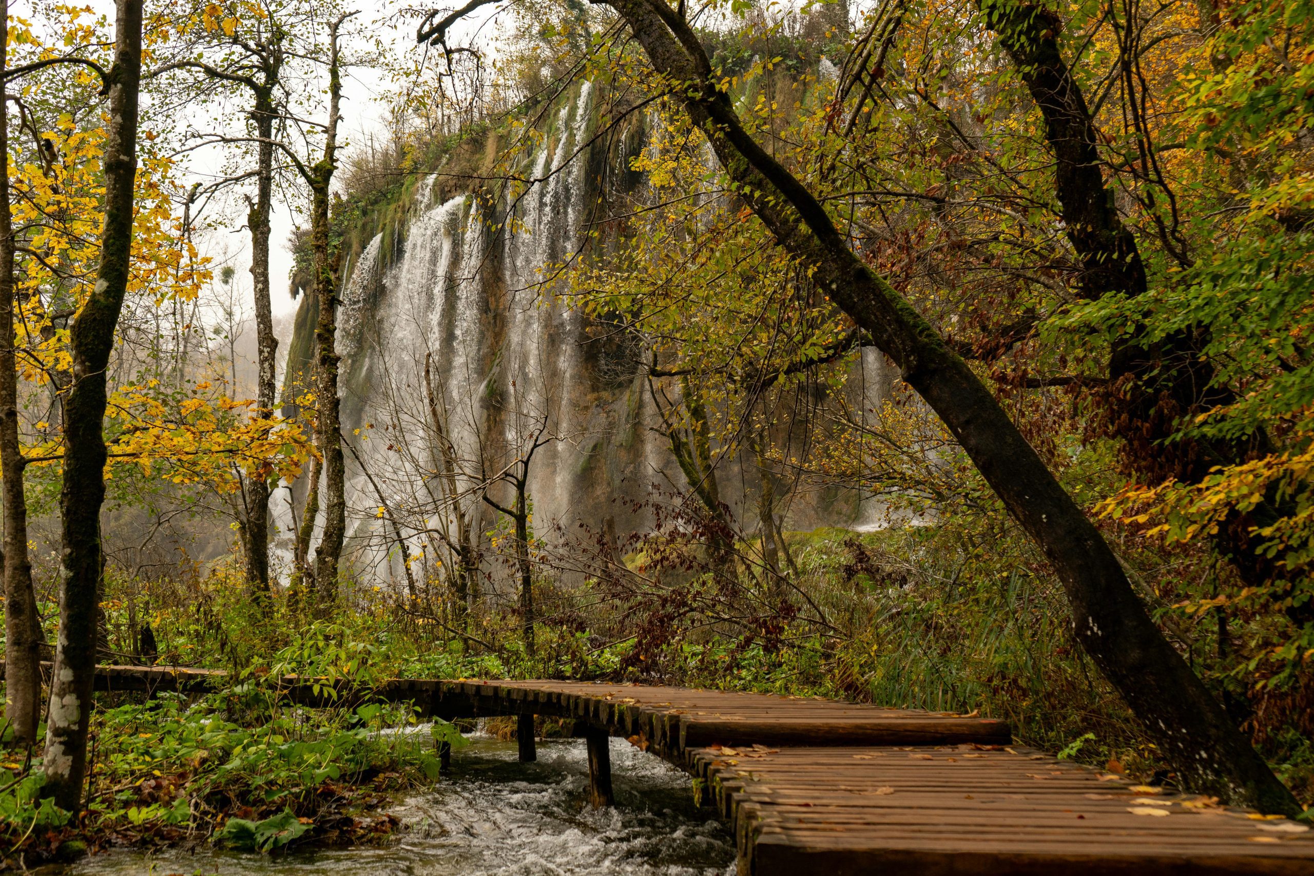 pexels-olivers-29298810