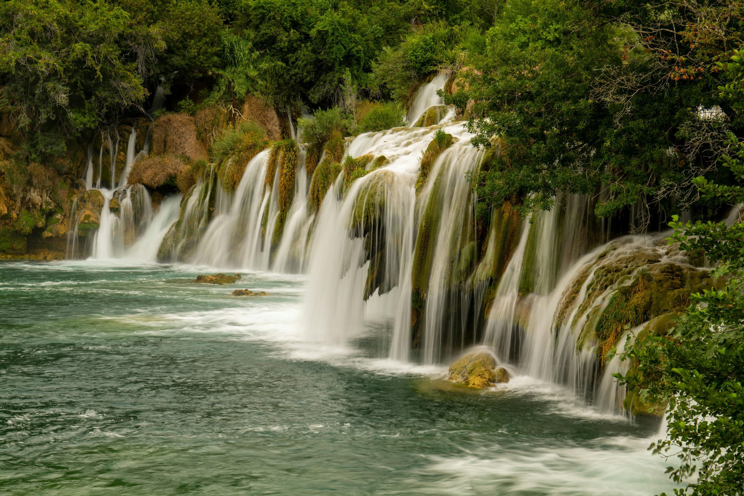 pexels-vladimirsrajber-33473080